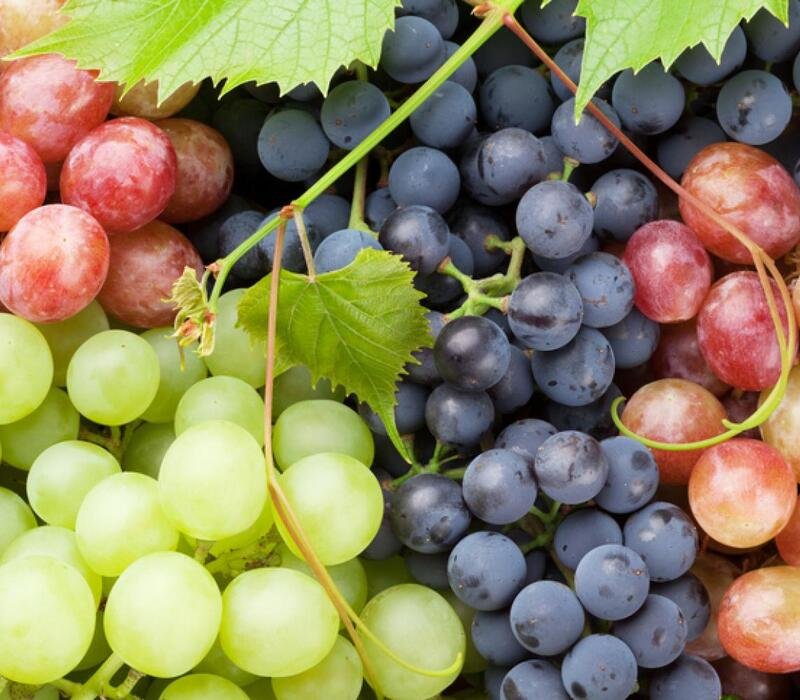 Are Grapes Healthy For You Benefits, Supplements to Know