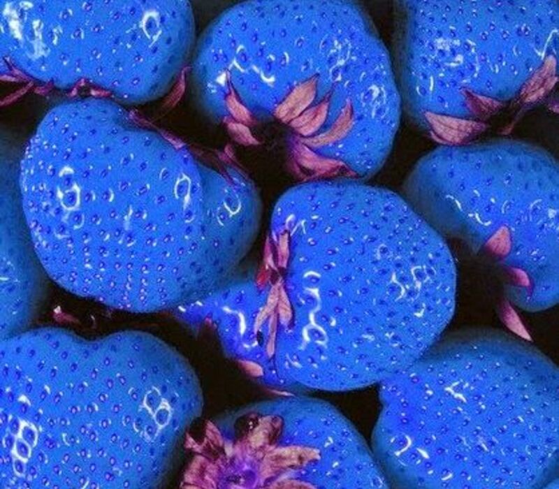 Give a Try to Blue Strawberry - All to Know About