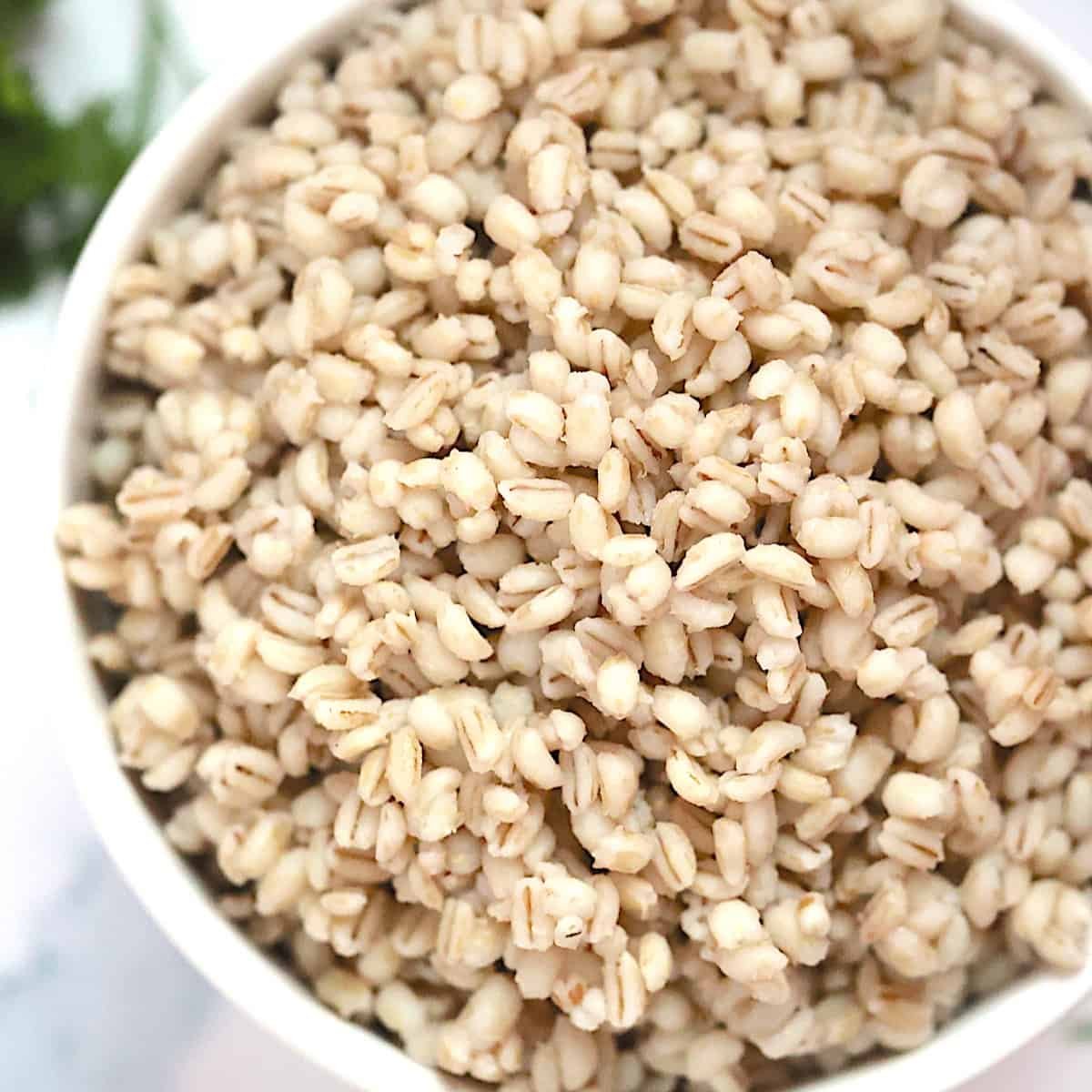 Quick and Easy Instant Pot Barley Perfectly Cooked Grains